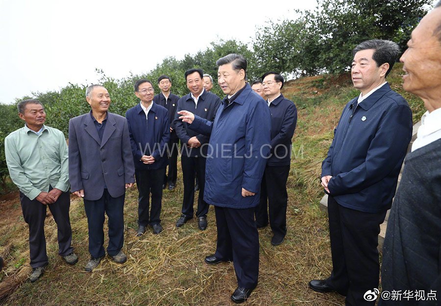 光山油茶籽榨油設(shè)備，山茶籽油榨油機(jī)廠家(圖3)