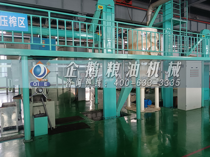 企鵝牌茶籽油雙螺桿榨油機(jī)，用心制造獲得客戶認(rèn)可(圖2)
